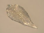 Evergreen Leaf Dip In Silver Appx.size 1.5 x 1 in.