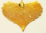 Aspen Leaf Dip In 24 k Gold Appx.size 1 x 1 in.