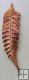 Ausrtalian Fern Dip in Copper Appx.size 1 x 0.25 in.