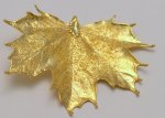 Sugar Maple Leaf In 24 k Gold Appx.size 1.5 x 1 in.