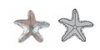 6721 (STARFISH PENDANT)