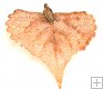 Cottonwood Leaf Dip in Copper Appx.size 1 x 0.50 in.